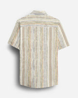 Men's multicolor striped shirt with vertical lines - back view

