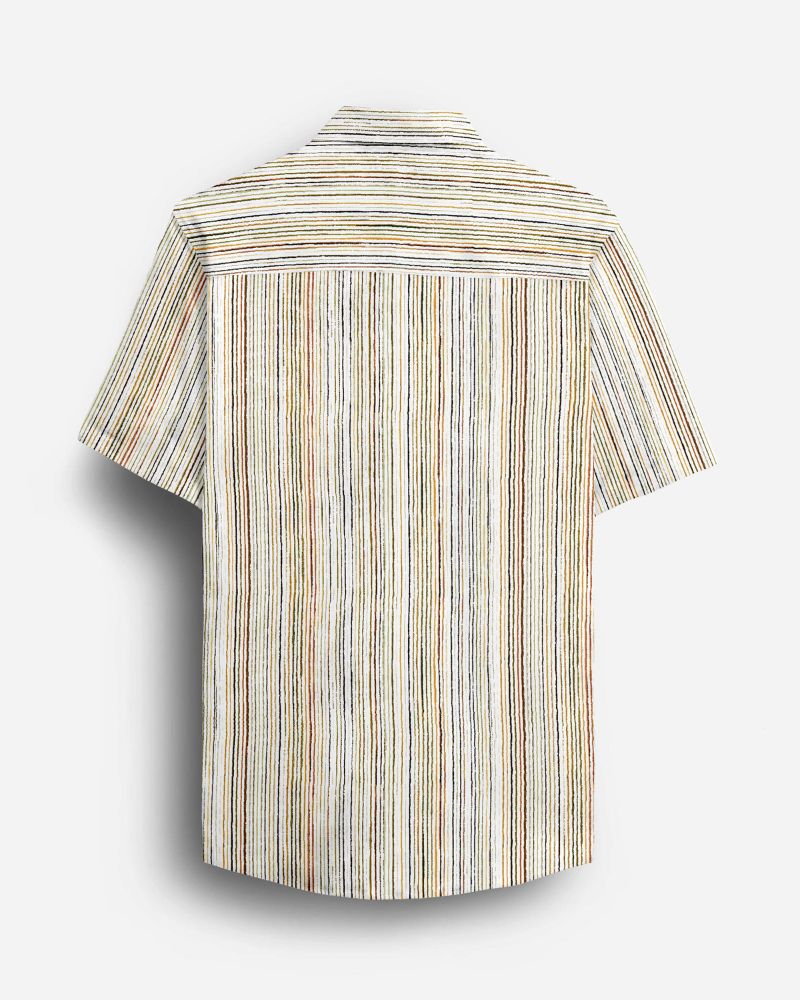 Men's multicolor striped shirt with vertical lines - back view

